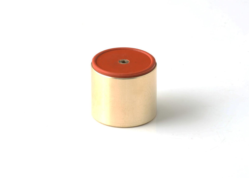 GFB DV+ PISTON (Different sizes)